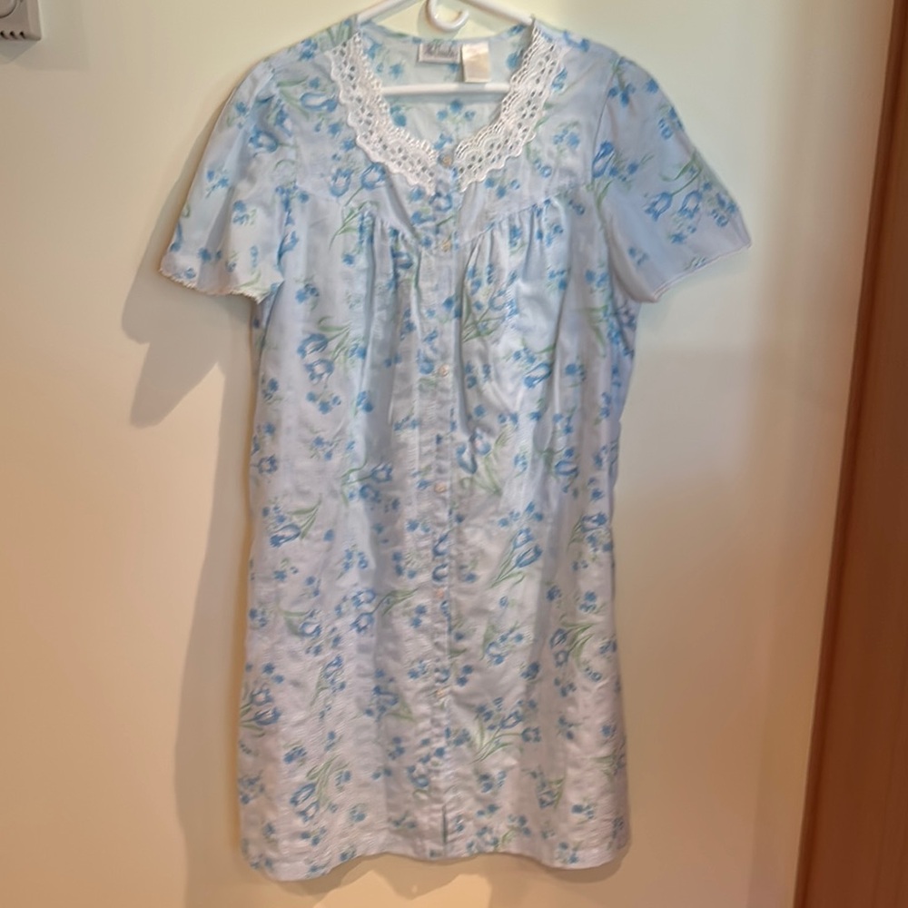Blue and White Floral Chemise.
